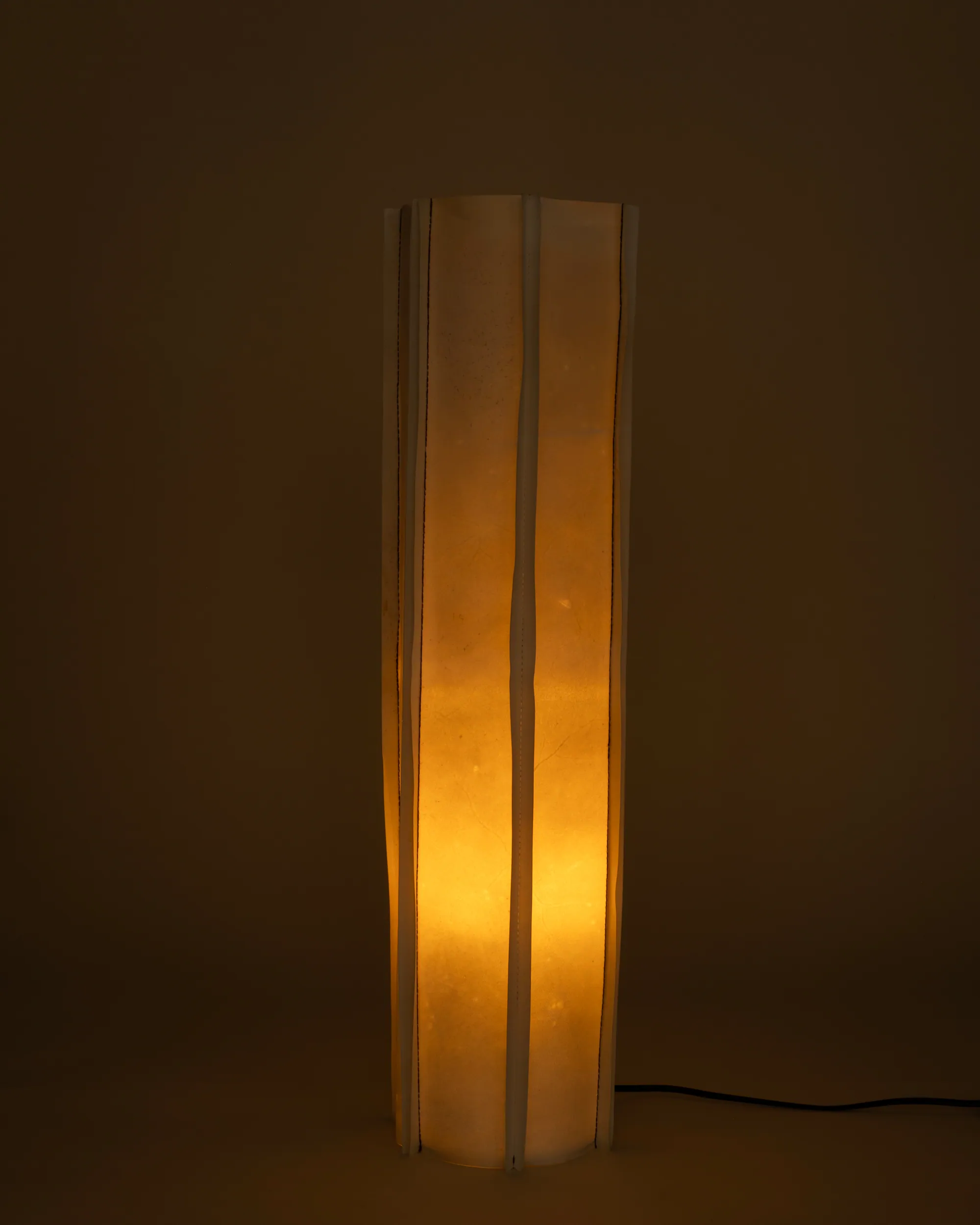 Zar Floor Lamp, lit